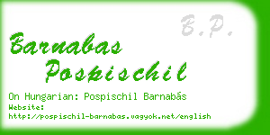 barnabas pospischil business card